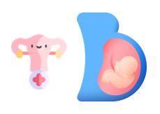 Pédiatrie, gynécologie, obstétrique et périnatalité