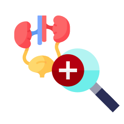 Urologie - Néphrologie